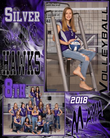 swms hawks volleyball