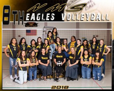 eagles volleyball